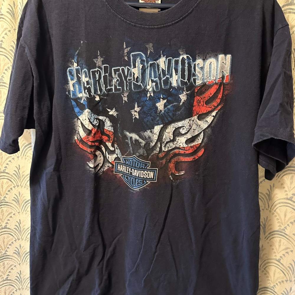 Harley-Davidson Men's Navy Graphic T-Shirt